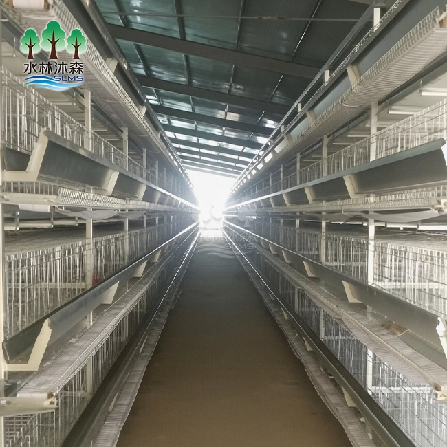 Three-layer Commercial Broiler Cage System